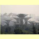 singapore18203.jpg